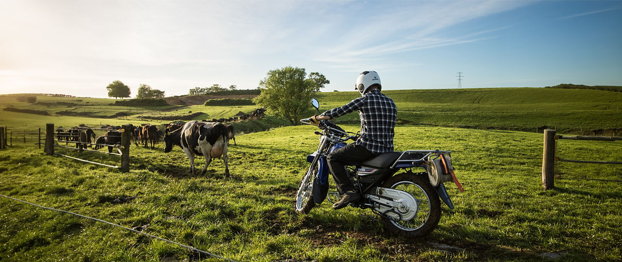 Agriculture