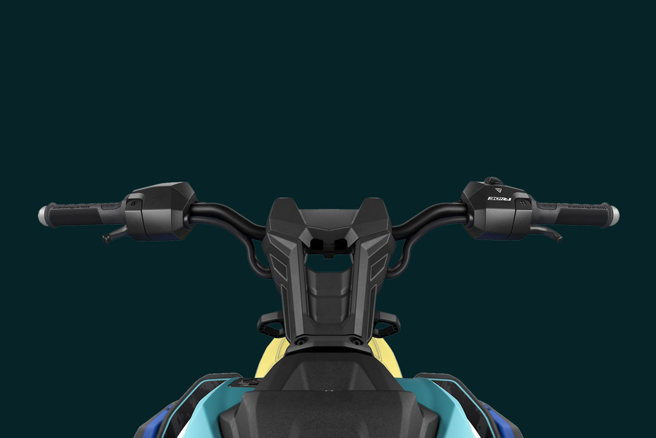 Custom Tuned Electronic Trim