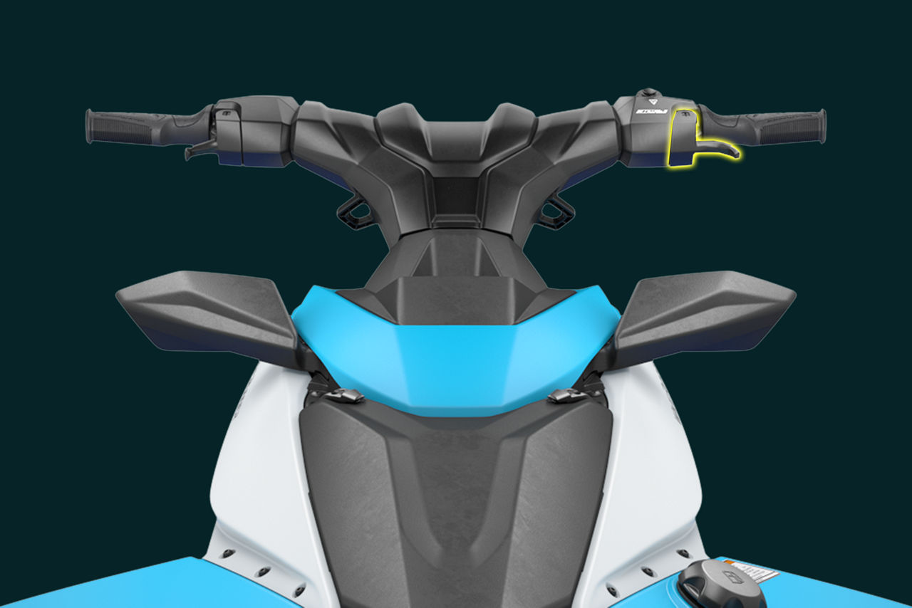 RiDE Dual Throttle Control System                                                                                                                                                                                                                         